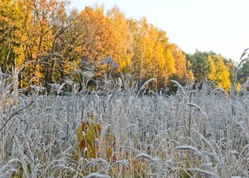 19 ноября в Рязанской области ожидается резкое похолодание
