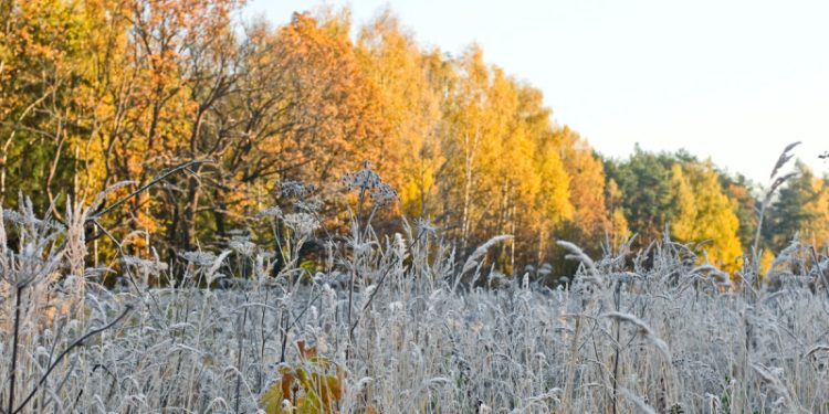 19 ноября в Рязанской области ожидается резкое похолодание