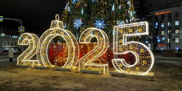 Власти просят рязанцев отказаться от салютов в новогодние праздники Власти просят рязанцев отказаться от салютов в новогодние праздники