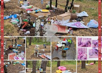 Жители Рязанского района пожаловались на мусор у озера Сегденское