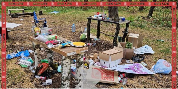 Жители Рязанского района пожаловались на мусор у озера Сегденское