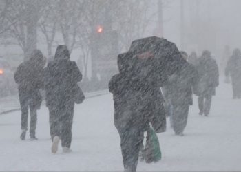 Рязанское МЧС выпустило экстренное метеопредупреждение из-за ухудшения погоды Рязанское МЧС выпустило экстренное метеопредупреждение из-за ухудшения погоды