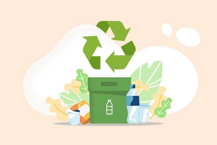 Рязанцам назвали адреса мест сбора и переработки отходов