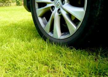 С начала года за парковку на газонах оштрафовали 4919 водителей-нарушителей С начала года за парковку на газонах оштрафовали 4919 водителей-нарушителей