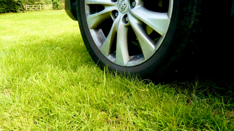 С начала года за парковку на газонах оштрафовали 4919 водителей-нарушителей