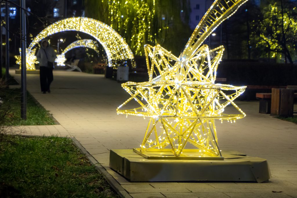 В мэрии Рязани объявили о подключении новогодней иллюминации на городских улицах