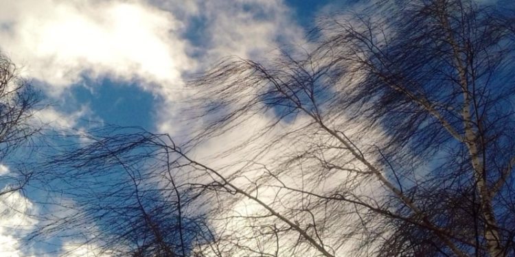 Рязанцев предупредили об усилении ветра 4 апреля