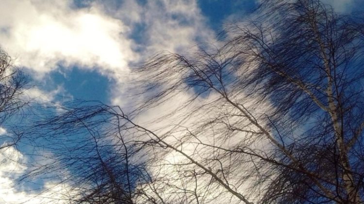 Рязанцев предупредили об усилении ветра 4 апреля