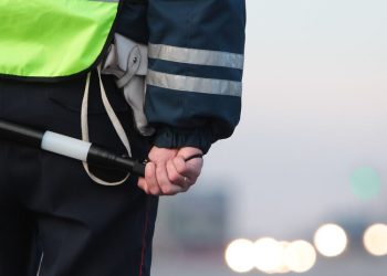 Рязанцев в выходные ждут массовые проверки ПДД
