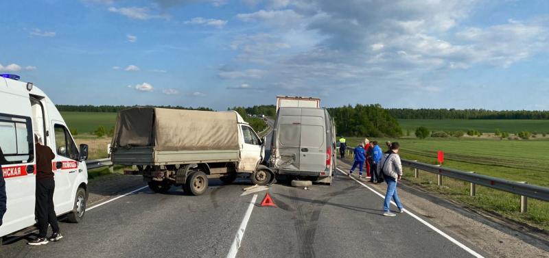 В массовом ДТП в Скопинском районе пострадали два человека