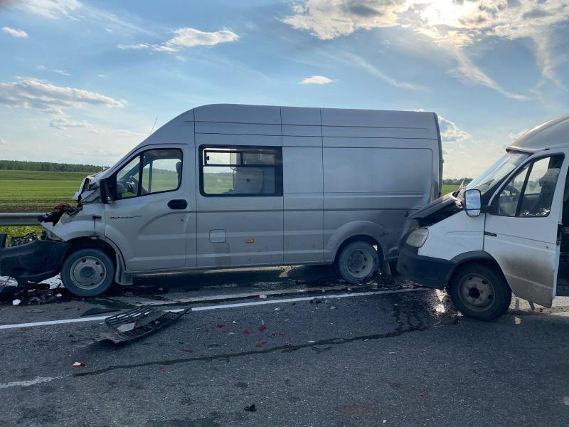 В массовом ДТП в Скопинском районе пострадали два человека