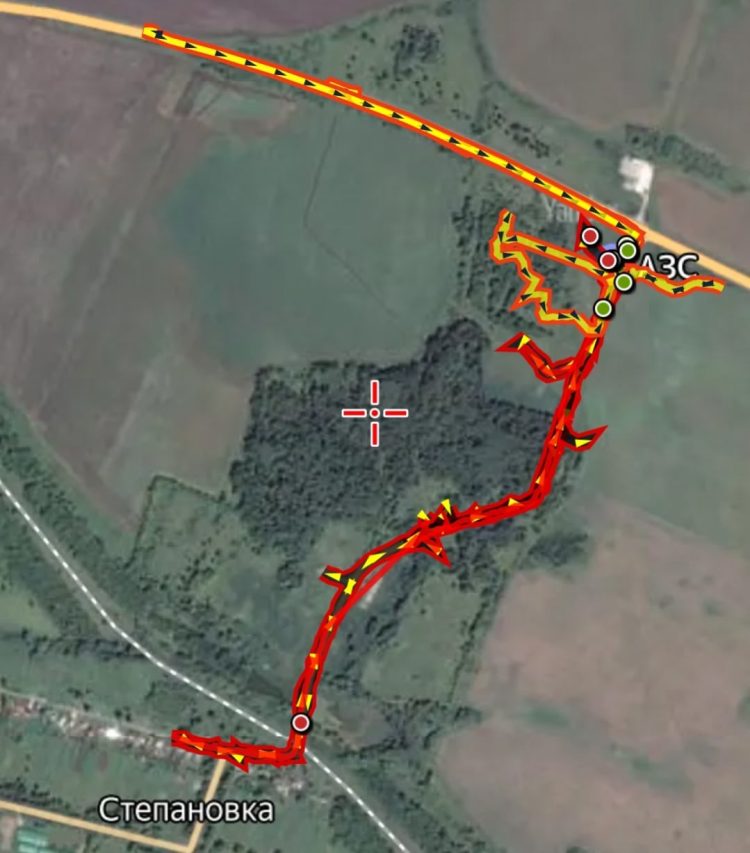 Волонтеры нашли труп пропавшего рязанца