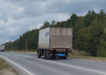 На рязанской трассе под колесами грузовика погиб маленький лосенок