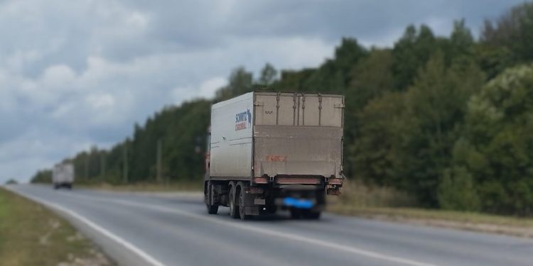 На рязанской трассе под колесами грузовика погиб маленький лосенок