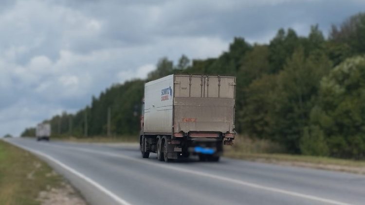 На рязанской трассе под колесами грузовика погиб маленький лосенок