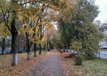 В Рязанскую область придет потепление В Рязанскую область придет потепление