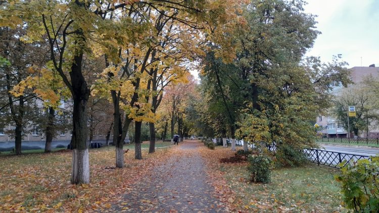 В Рязанскую область придет потепление