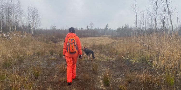 Рязанские волонтеры прошли более 110 километров в поисках пропавшего 65-летнего мужчины