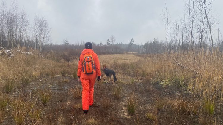 Рязанские волонтеры прошли более 110 километров в поисках пропавшего 65-летнего мужчины
