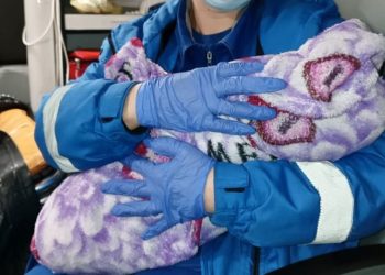 В Рязани молодая девушка родила прямо в скорой