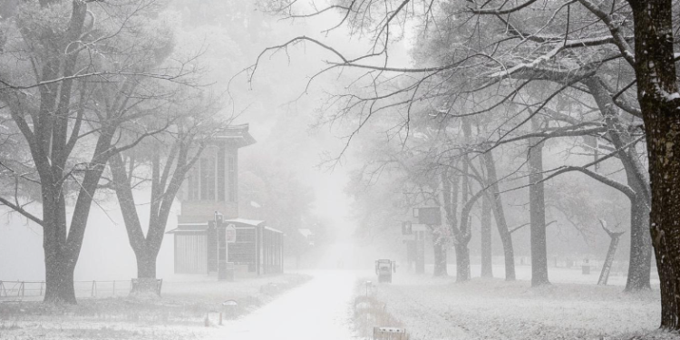 Рязанское МЧС продлило метеопредупреждение из-за метели до утра 14 декабря