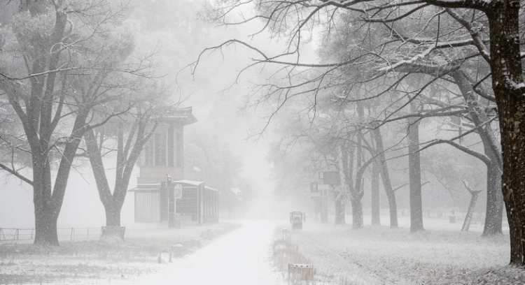 Рязанское МЧС продлило метеопредупреждение из-за метели до утра 14 декабря