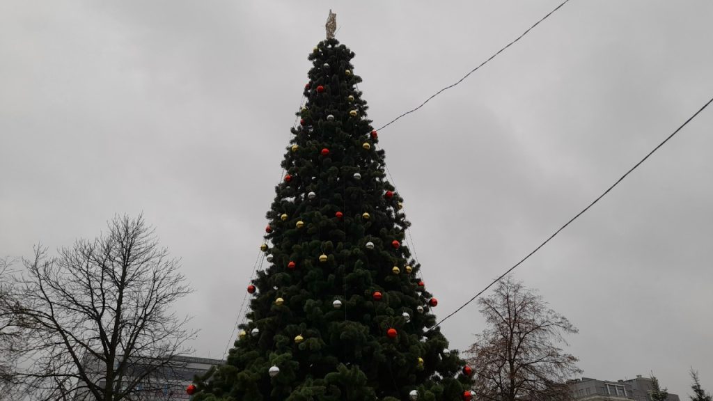 В рязанском Верхнем горпарке продолжают украшать собранную к Новому году ель