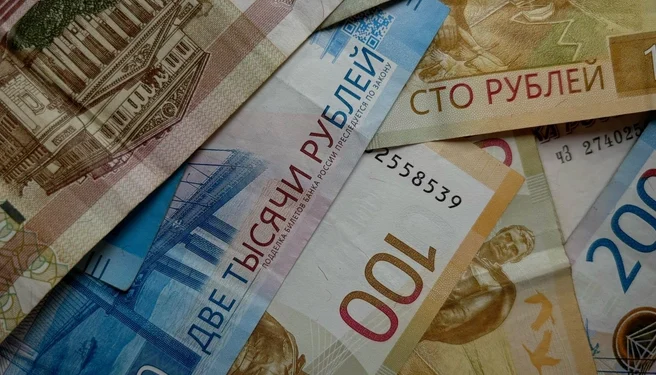 3301 рязанец заплатил за парковку на газонах