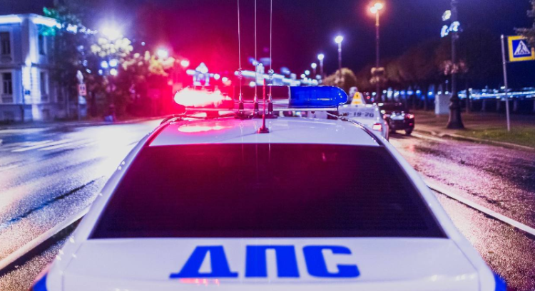 27 ноября в Рязанской области полиция проведет рейд по подложным номерам