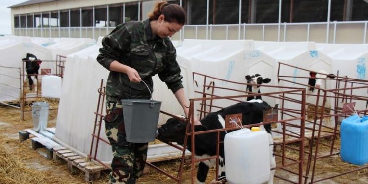 Агропредприятия предлагают рязанцам работу и жилье в сельской местности