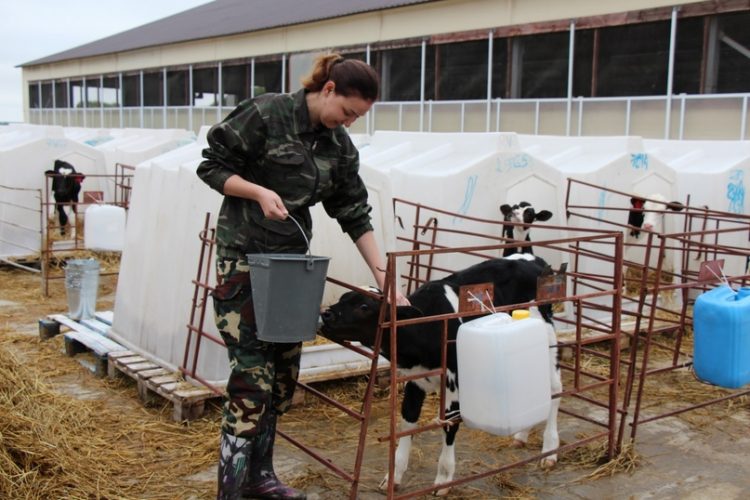 Агропредприятия предлагают рязанцам работу и жилье в сельской местности