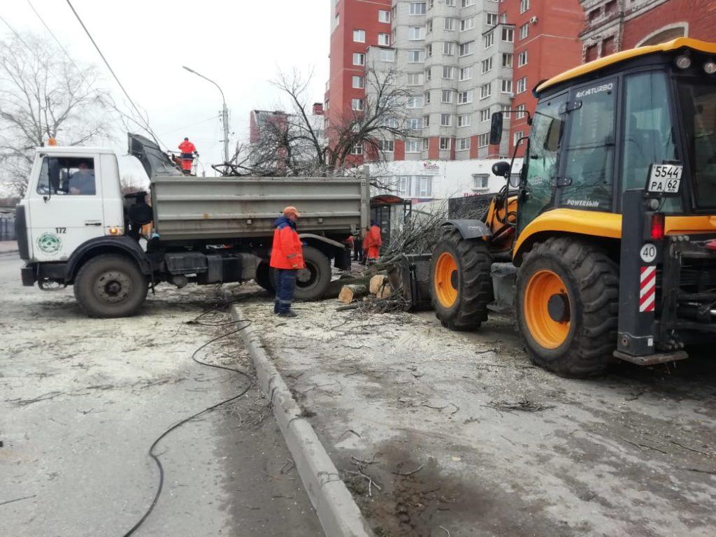 На улице Маяковского рухнуло дерево