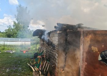 В Скопинском районе сгорел гараж
