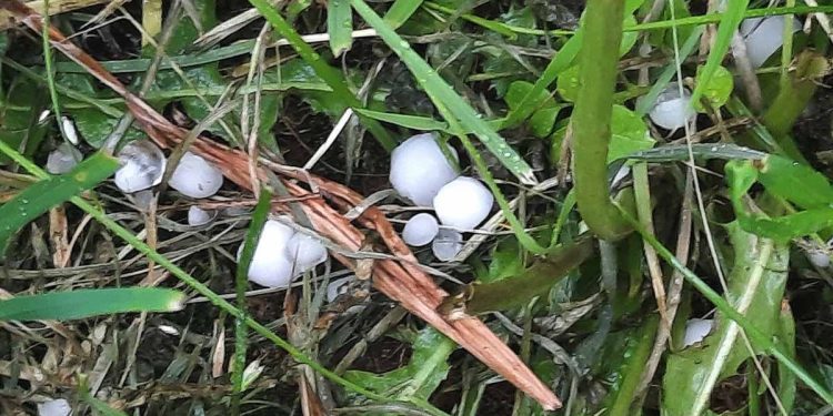 В рязанском Новомичуринске выпал крупный град