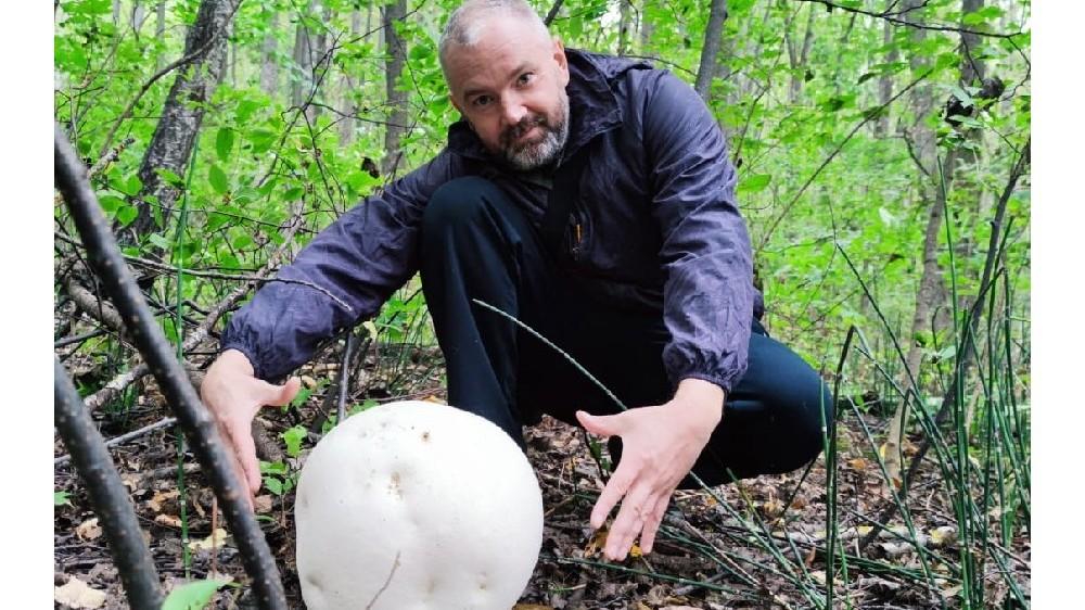 В Пронском районе обнаружили поляну с огромными грибами