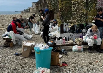 Разлив нефти в Туапсе убивает птиц и дельфинов