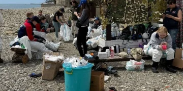 Разлив нефти в Туапсе убивает птиц и дельфинов