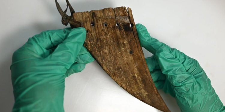 В Рязанском кремле на раскопках обнаружили фрагмент деревянных гуслей