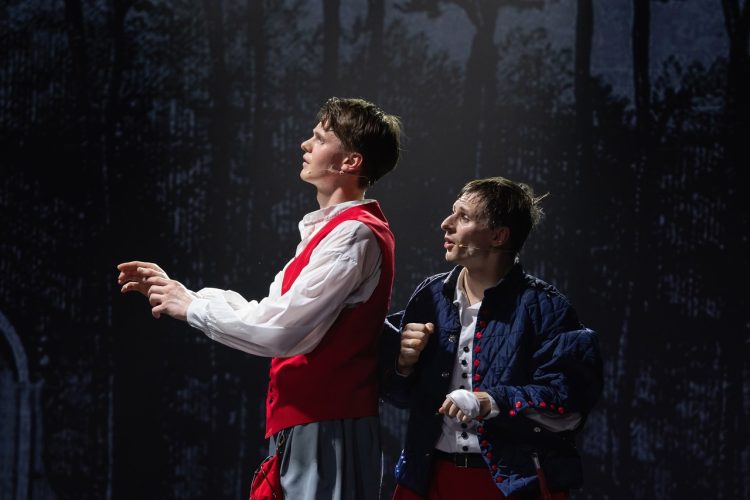 Мюзикл «Сирано де Бержерак» сразил рязанских зрителей накалом страстей