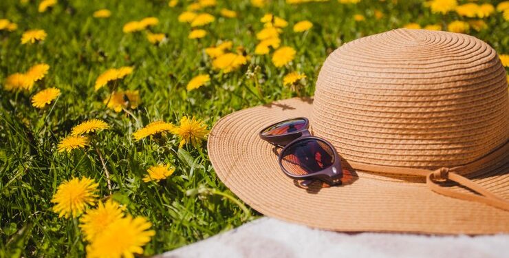 Метеоролог Вильфанд пообещал летнюю жару в выходные в Центральной России