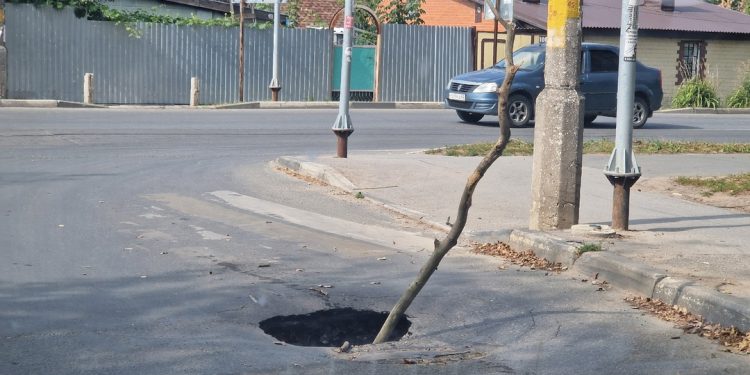В яму на автодороге на улице Гагарина воткнули огромную ветку