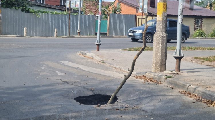 В яму на автодороге на улице Гагарина воткнули огромную ветку