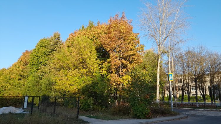 В четверг в Рязанской области потеплеет до +16 градусов