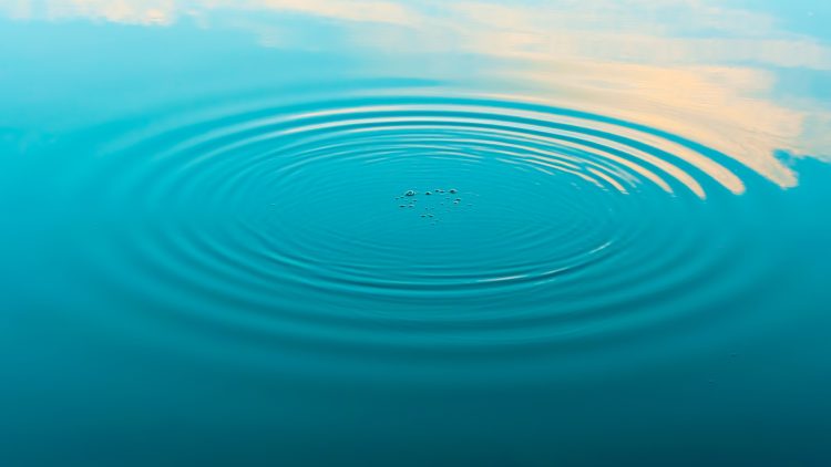 В Рязанском районе утонул мужчина, двоих детей и жену спасли