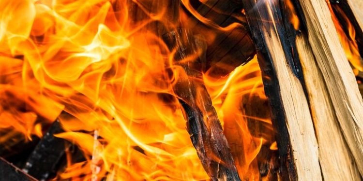 Пожар в рязанской Солотче тушили 15 спасателей