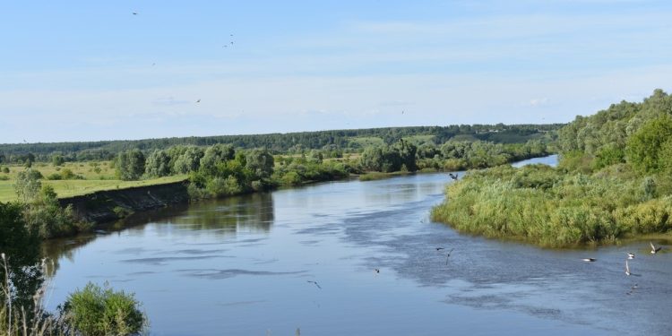 В Кадомском районе утонул 87-летний пенсионер В Кадомском районе утонул 87-летний пенсионер