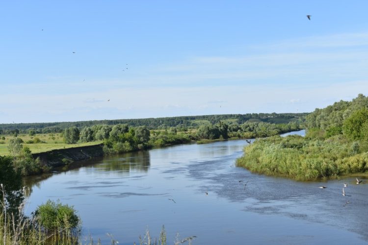 В Кадомском районе утонул 87-летний пенсионер
