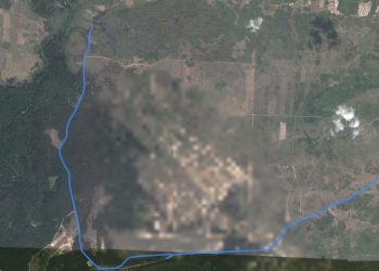 Рязанские поисковики нашли двух заблудившихся в Рыбновском районе женщин