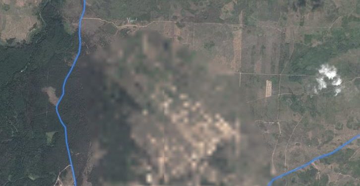 Рязанские поисковики нашли двух заблудившихся в Рыбновском районе женщин