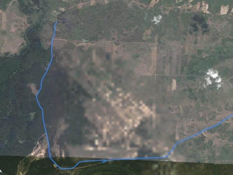 Рязанские поисковики нашли двух заблудившихся в Рыбновском районе женщин